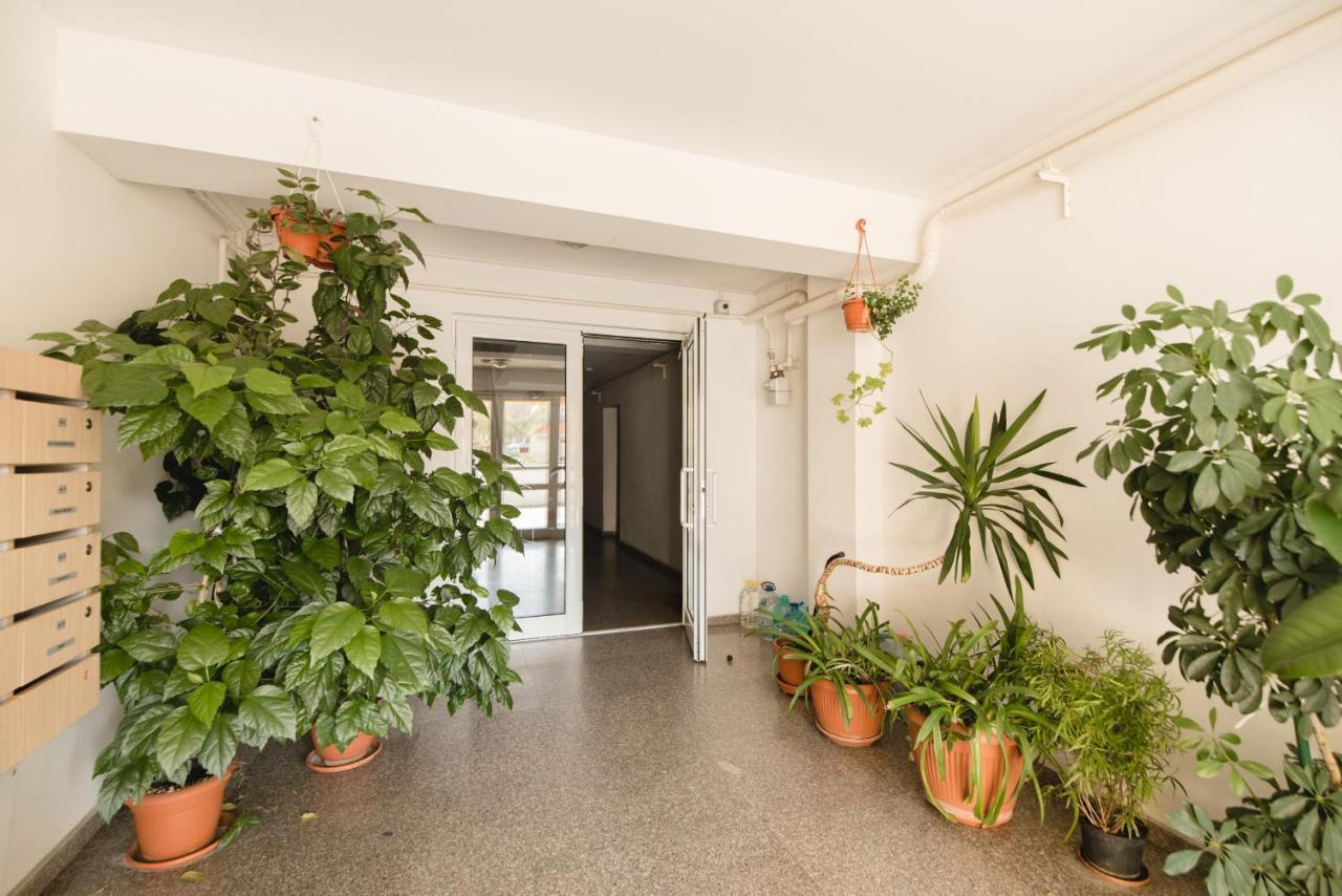 Oltului Apartment Brasov Luaran gambar